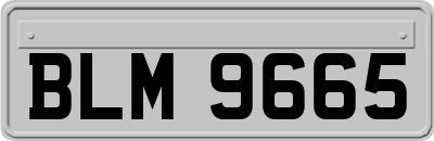 BLM9665