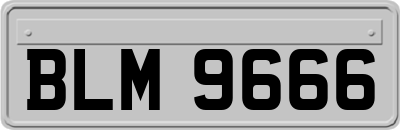 BLM9666
