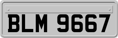 BLM9667