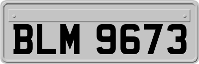 BLM9673
