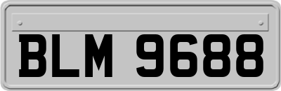 BLM9688