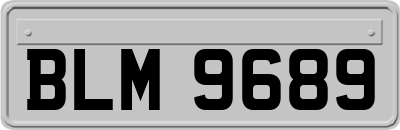BLM9689
