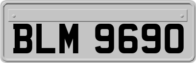 BLM9690