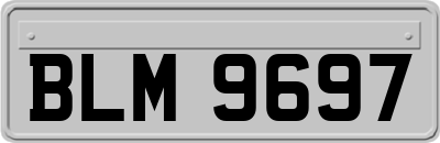 BLM9697
