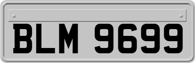 BLM9699