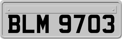 BLM9703