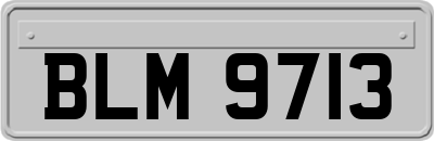 BLM9713