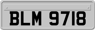 BLM9718