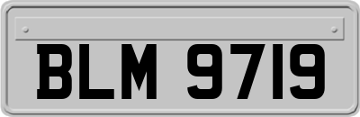 BLM9719