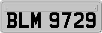 BLM9729