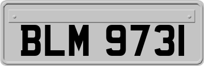BLM9731