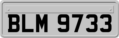 BLM9733
