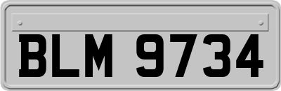 BLM9734