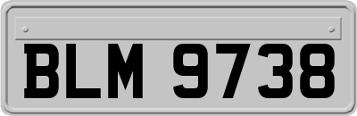 BLM9738