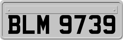 BLM9739
