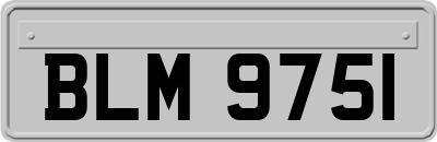 BLM9751
