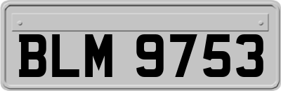 BLM9753