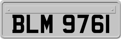 BLM9761