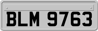 BLM9763