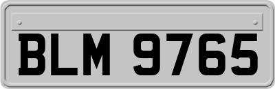 BLM9765