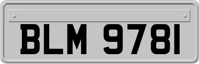 BLM9781
