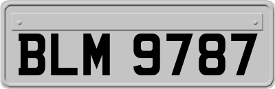 BLM9787