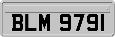 BLM9791