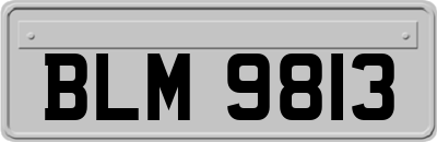 BLM9813