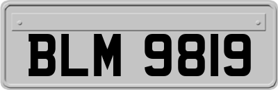 BLM9819