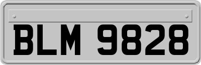 BLM9828