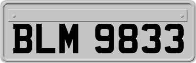 BLM9833