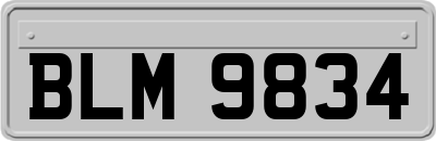 BLM9834