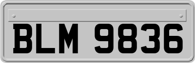 BLM9836