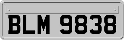 BLM9838