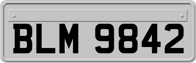BLM9842
