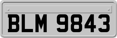 BLM9843
