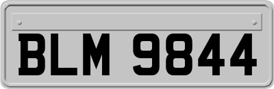 BLM9844