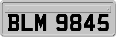 BLM9845