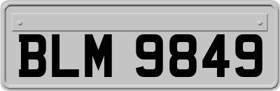 BLM9849