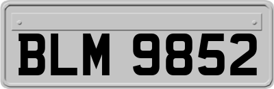 BLM9852