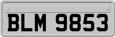 BLM9853