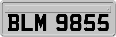 BLM9855