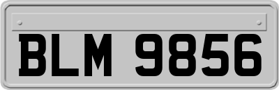 BLM9856