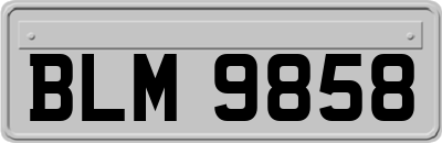 BLM9858