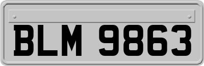 BLM9863