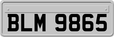 BLM9865