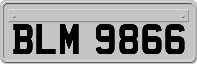 BLM9866