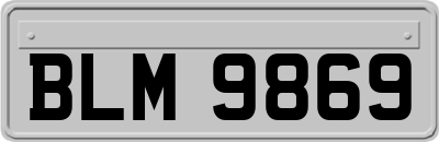 BLM9869
