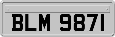 BLM9871