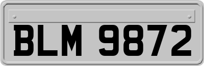 BLM9872